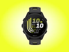Устройство Forerunner 170 получило второе бета-обновление.