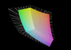 Отображение оттенков из спектра AdobeRGB (66%)