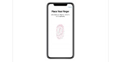 Ждем подэкранный Touch ID? (Изображение: Apple)