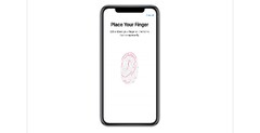 Ждем подэкранный Touch ID? (Изображение: Apple)