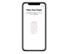 Ждем подэкранный Touch ID? (Изображение: Apple)