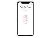 Ждем подэкранный Touch ID? (Изображение: Apple)