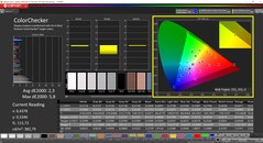 CalMAN ColorChecker (DCI-P3)