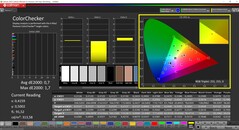 CalMAN ColorChecker (после калибровки)