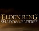 FromSoftware не спешит с выпуском сиквела Elden Ring (источник изображения: FromSoftware)