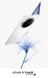 (Источник изображения: Vivo)