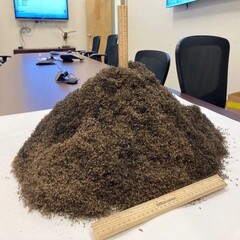 Куча из 1 миллиона комаров (Источник изображения: Lee County Mosquito Control District; обрезано)