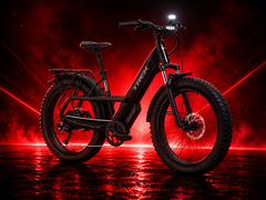 Borrego+ — это новый электровелосипед с толстыми шинами от компании Trek