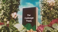 Брендинг Cabbage объединяет игривый визуальный стиль с умным инструментарием DeFi (Источник изображения: Stader Labs)