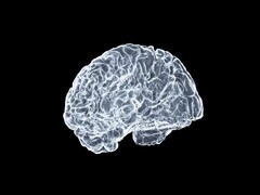 Художественное изображение мозга (Источник изображения: Shawn Day через Unsplash; отредактировано)