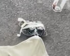 Neo 2 может стать одним из нескольких потребительских дронов, которые DJI выпустит в этом году. (Источник изображения: Игорь Богданов - отредактировано)