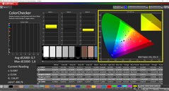 CalMAN ColorChecker (Display P3, DCI-P3)