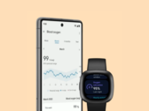Fitbit изменил дизайн страниц "Показатели здоровья" в своем приложении. (Источник изображения: Fitbit)