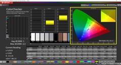 CalMAN ColorChecker (профиль:sRGB, цветовое пространство: sRGB)