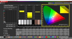 CalMAN ColorChecker (профиль: P3, целевое цветовое пространство: P3)