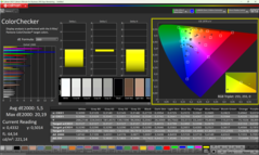 Calman ColorChecker (после калибровки)