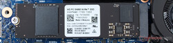 Western Digital PC SN560 NVMe SSD