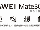 Утечка фото чехлов Mate 30 указывает на присутствие в линейке весьма редкой среди современных флагманов характеристики. (Изображение: Slashleaks)