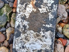 После пяти лет пребывания под водой в реке Темзе iPad Mini позволил полиции Met Police раскрыть расследование, длившееся шесть лет. (Источник изображения: Met Police via BBC)