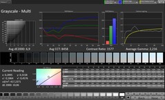 Серые шкалы CalMAN