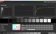 Шкалы серого (Цвет: Профессиональный, цветовая температура: Теплый, целевое цветовое пространство: sRGB)
