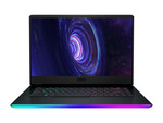 MSI GE66 10SGS-074 MSI GE66 10SGS-074