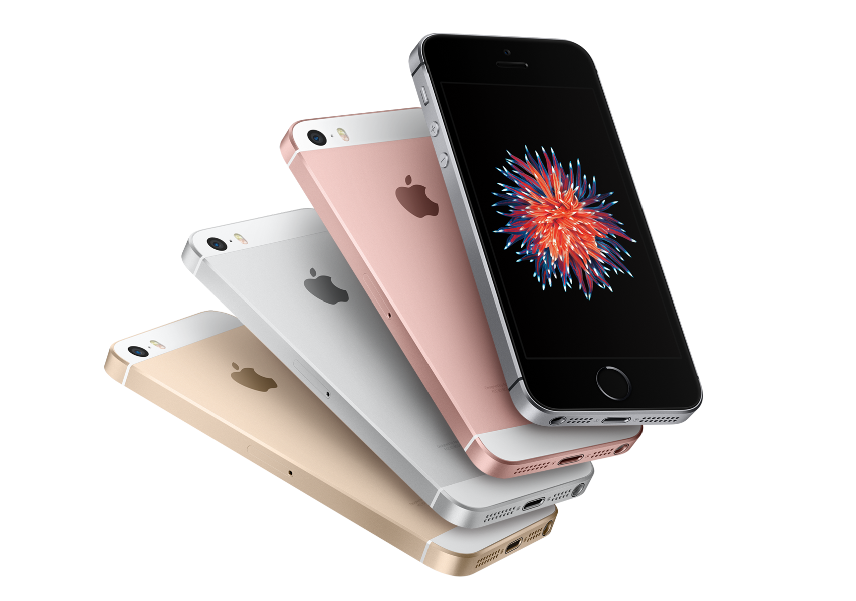 Apple iPhone SE - notebookcheck-ru.com Библиотека