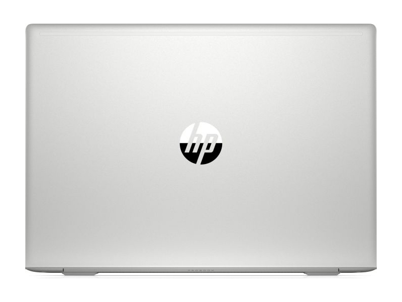 HP ProBook 450 G6-6HM61ES